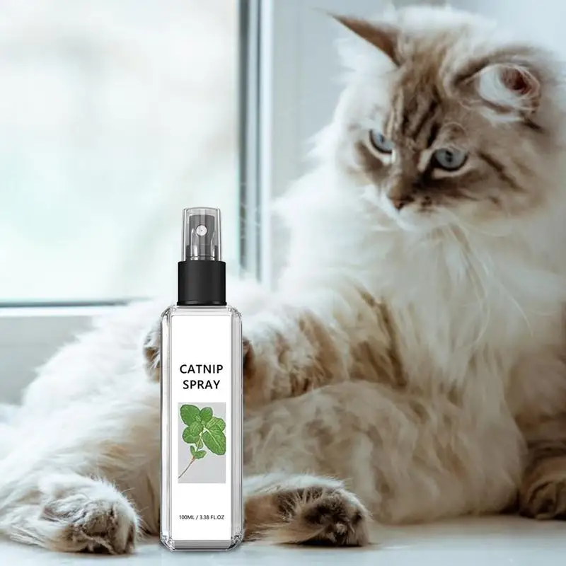 Catnip Cat Joy Spray Training Spray Kitten Behaviour Spray 100ml Pet Care Liquid Catnip Natural Plant Cat Attract Spray For