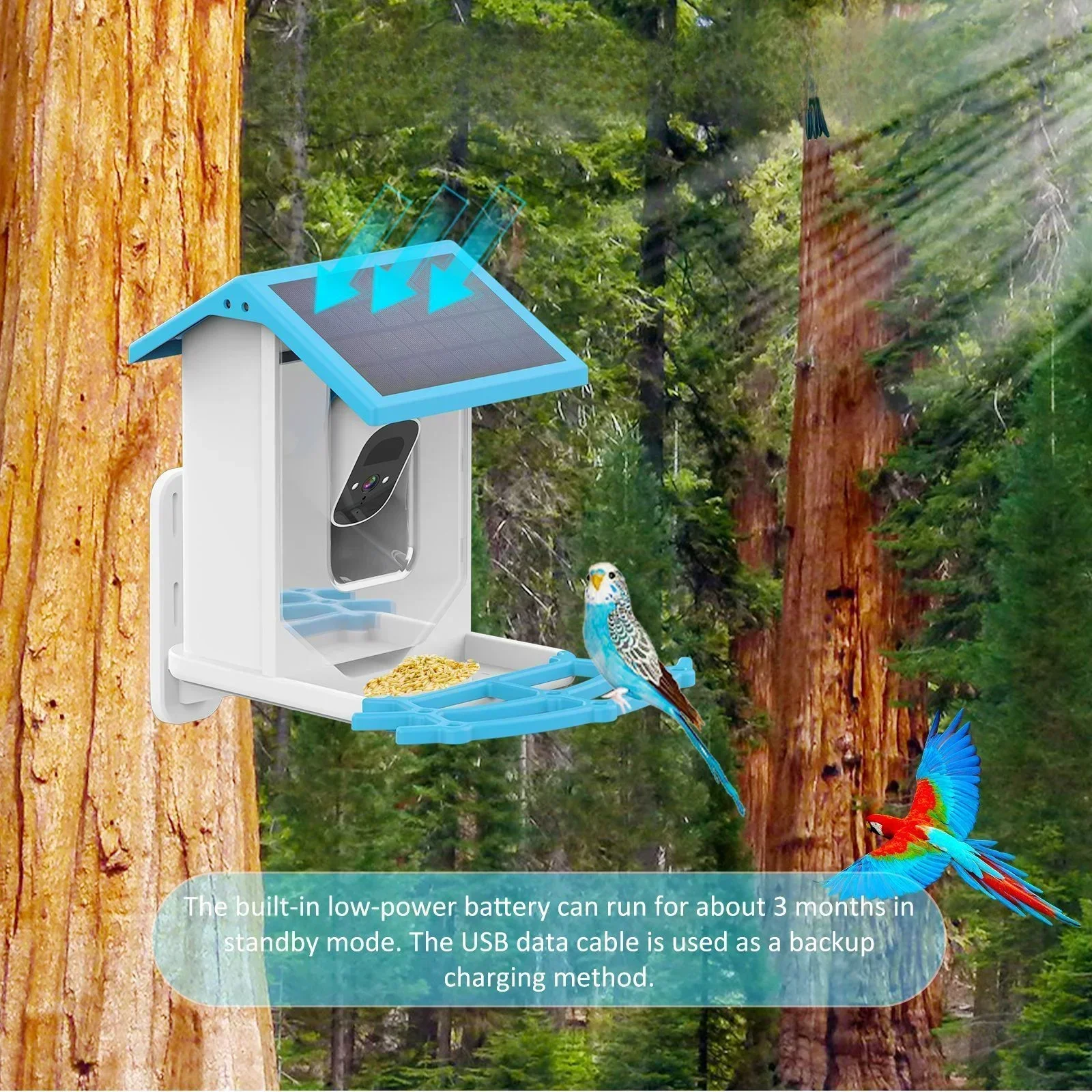 Wholesale, wild growth standby discount intelligent wild bird feeder