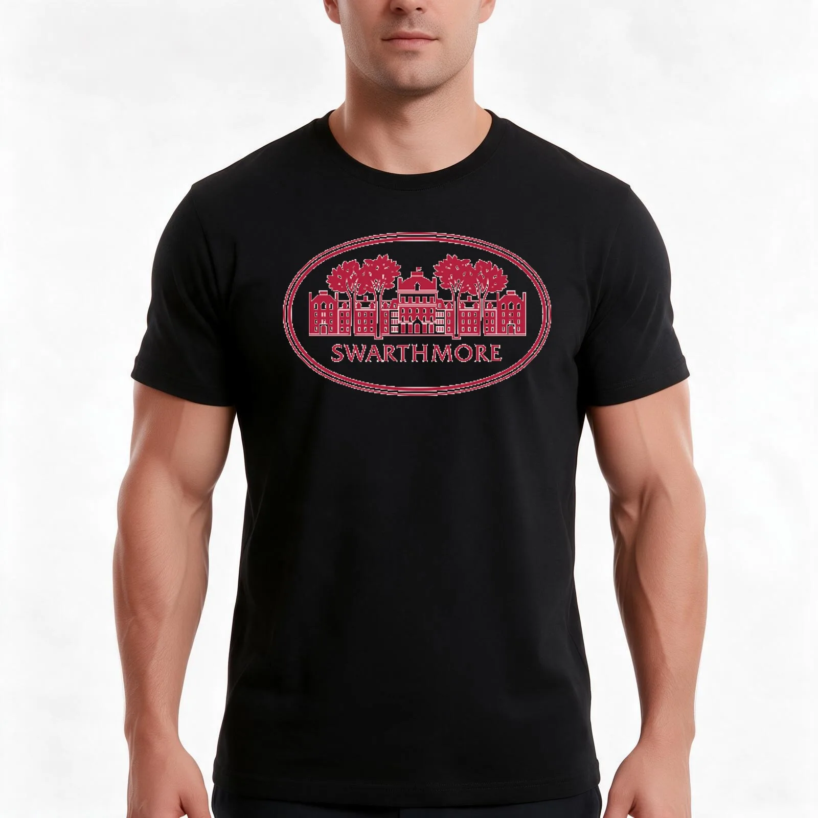 Swarthmore College Sticker/Shirt T-Shirt, Summer Casual Cotton Tee, Oversized Streetwear Tops, Vintage Graphic Print