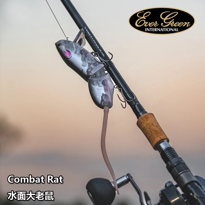 Japan Evergreen Wat… - image