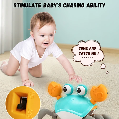 לימוד וחינוך