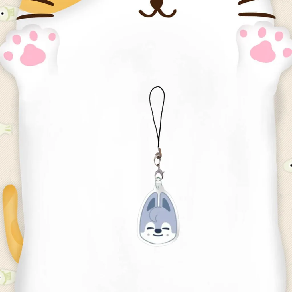 SKZOO figura de animal de dibujos animados llavero acrílico Stray Kids llavero de coche acrílico mochila funda de teléfono colgante regalos periféricos
