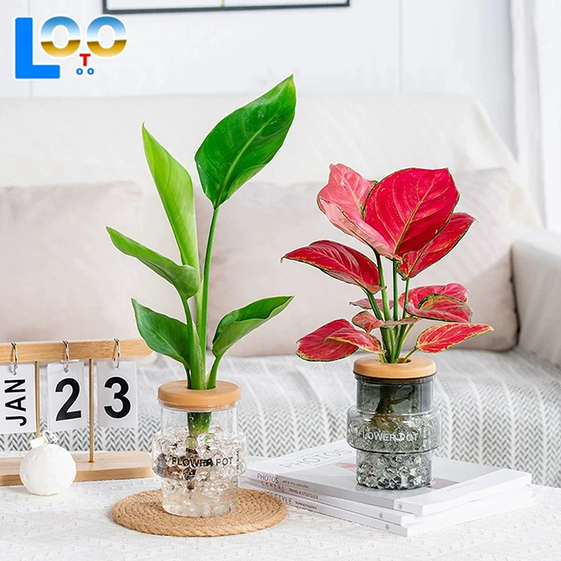 Прозрачный серый прозрачный цветочный горшок Офисный зеленый горшок для растений Домашний горшок