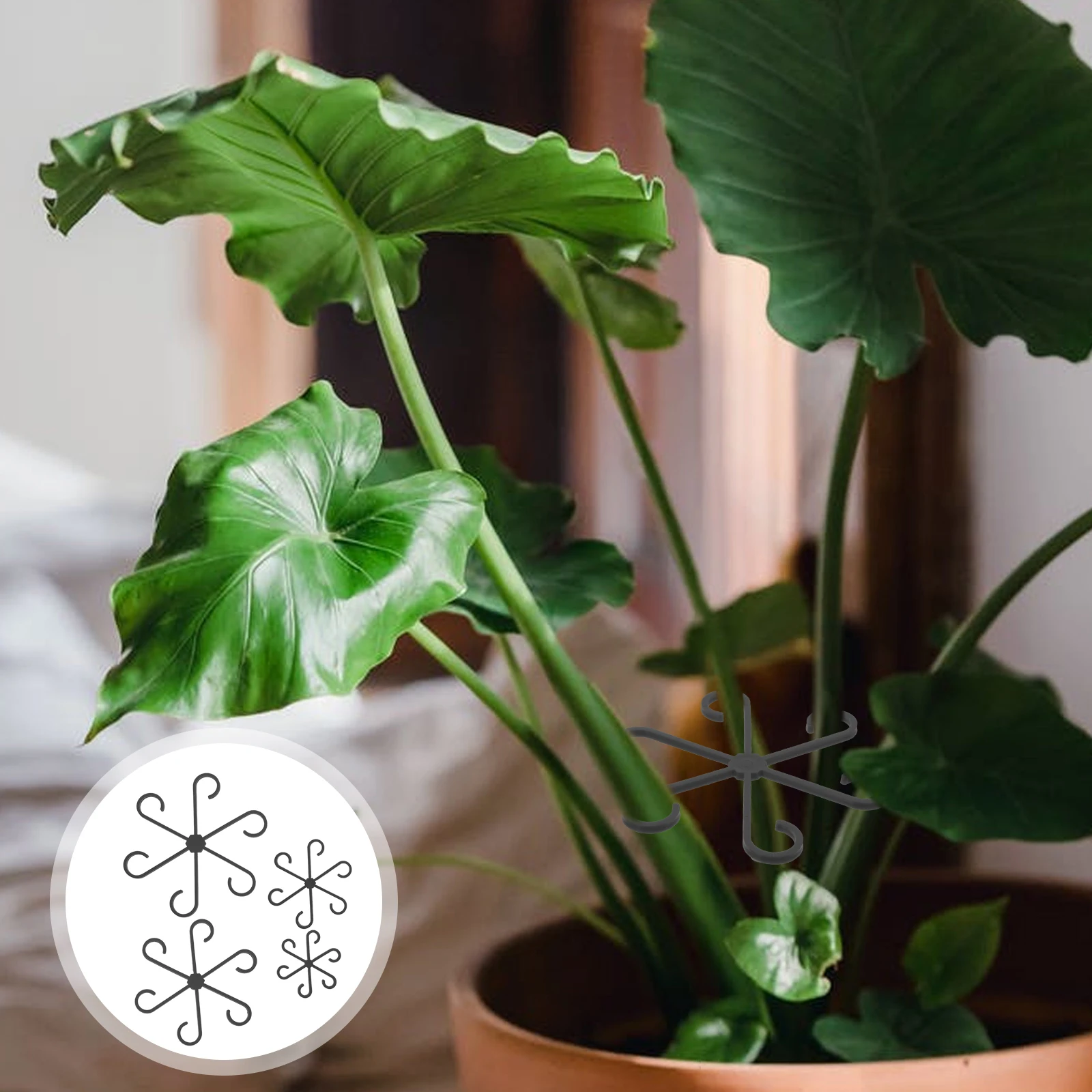 

12 Pcs Plant Support Frame Climbing Wall Fixtures for Plants Garden Clips Houseplant Stem Orchid