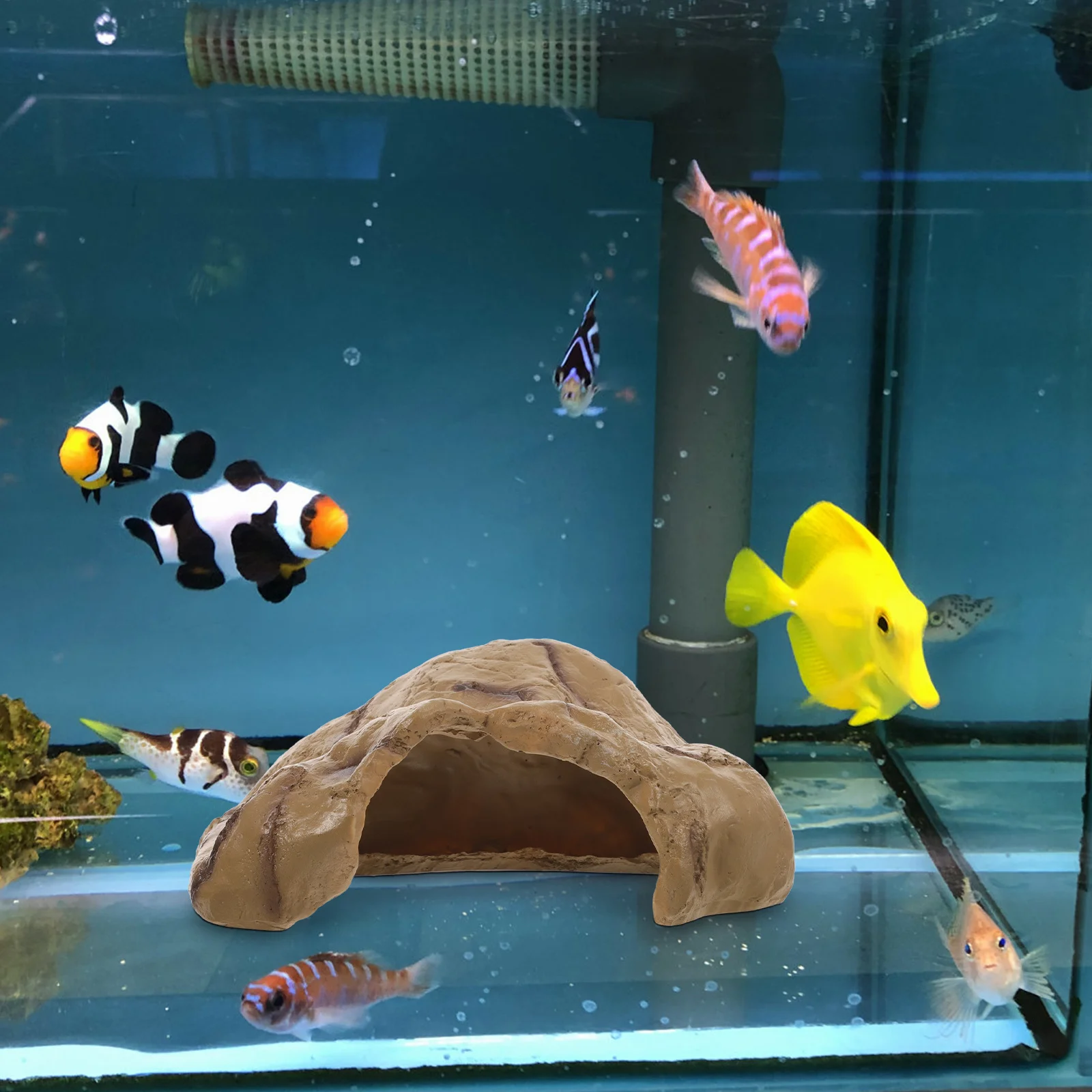 

Aquarium Decor Fish Tank Cave Resin Craft Shrimp Hideout Landscaping Ornament Aquarium Hideaway Fish Tank Cave
