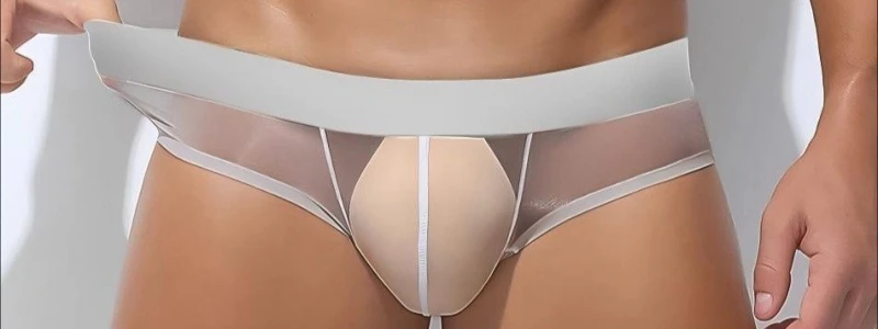 Men Sheer Ice Silk Triangle Briefs Low Waist Half Hip Coverage Breathable U Shape Pouch Transparent Male Underwear Panties