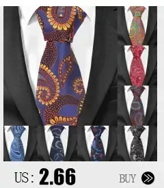 Orange Braune Krawatten für Männer und Frauen, Anzug, gestreifte Krawatte für Party, Business, klassische Paisley-Krawatten, Hochzeit, Krawatte, Bräutigam-Geschenke – Detail 4