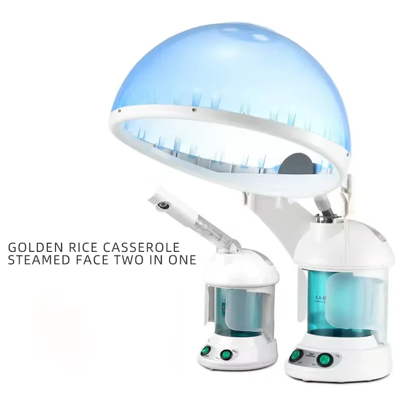 

Top Selling 2024 New Product Personal Spa Hair Steamers For Beauty Salon Use Hair And Face Steamer