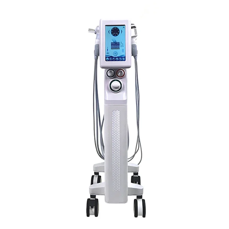 Skin Care NV-WX600 Standing Type Small Size Jet Peel Machine H2O2 Aqua Peeling Facial Cleansing Beauty Device 6 In 1 A