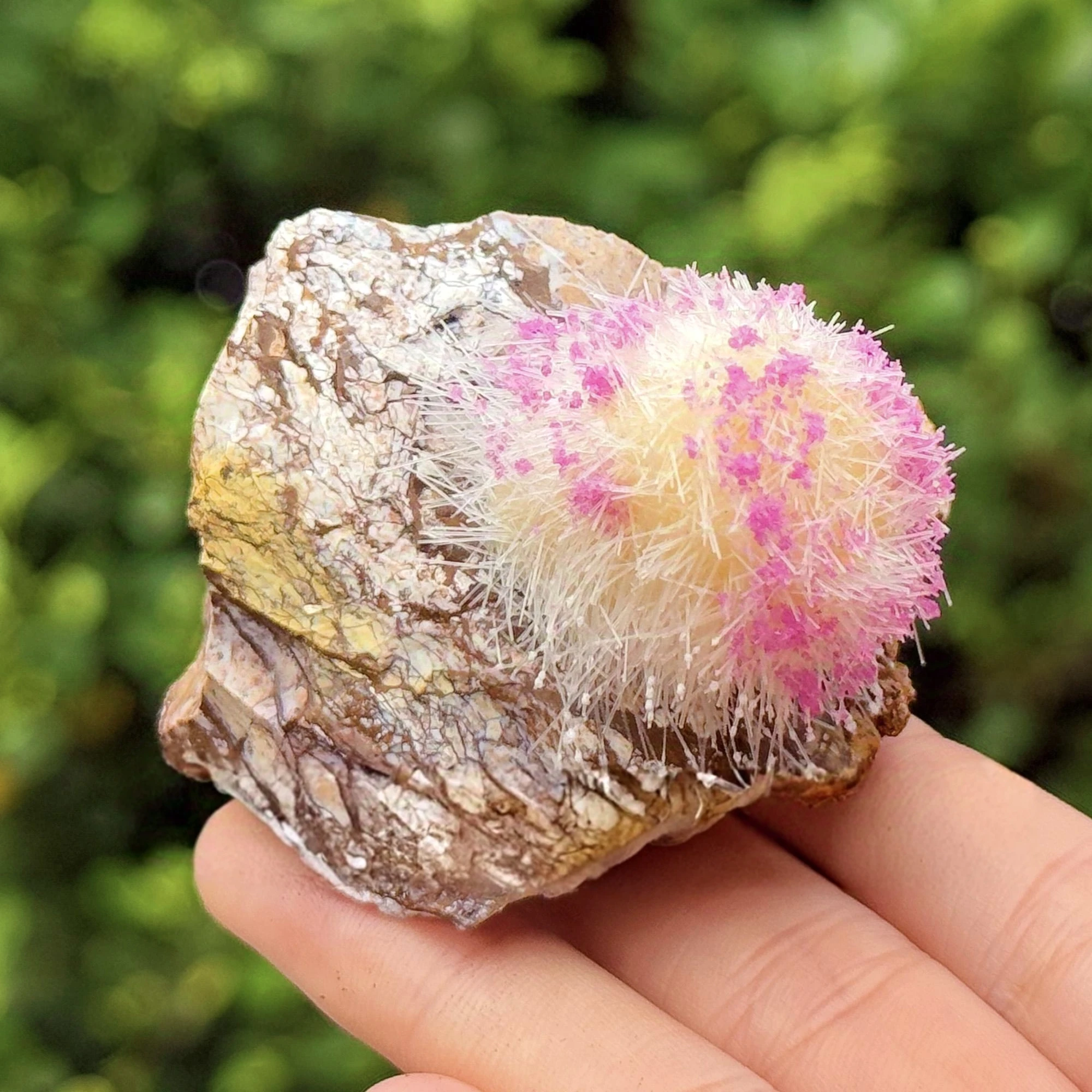 

1pc Rare Cobaltite Of Morocco Specimen, Cherry Blossom Crystal Quartz Cluster, Home Decor, Mineral Specimens, Crystal Collection