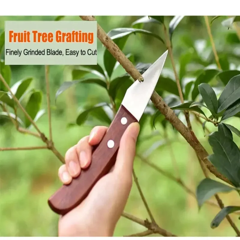 

Многофункциональный складной нож для прививки растений, простой в использовании садовый инструмент для ухода за садом, профессиональный, прочный, для работы на открытом воздухе.