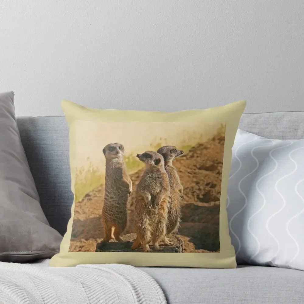 Compare the Meerkats Throw Pillow Sofa Cushions autumn pillowcase Sofa Pillow Cover ornamental pillows pillow