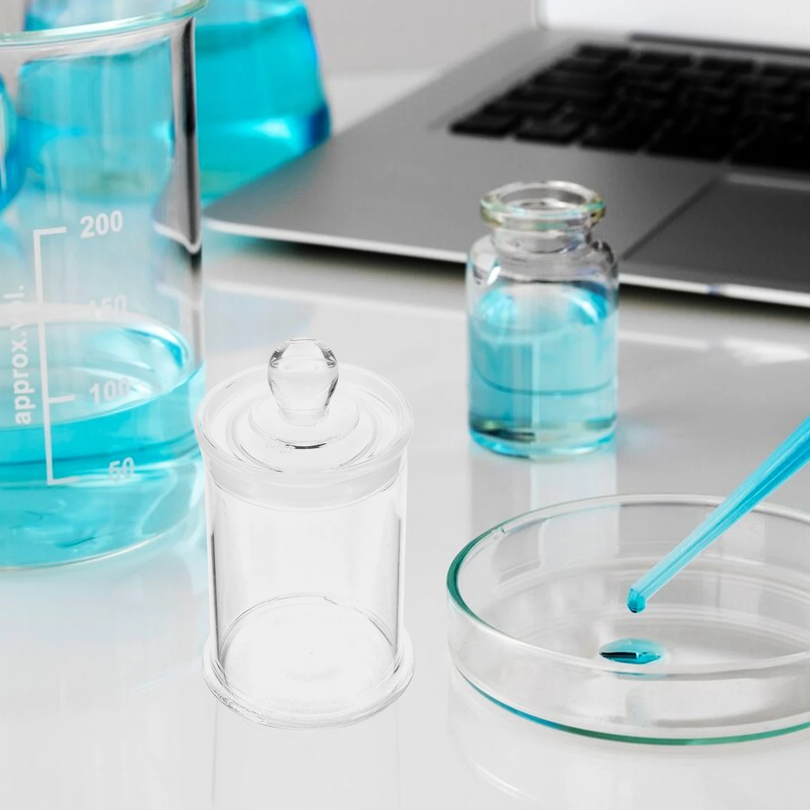 

Glass Specimen Bottle Clear Glass Chemistry Vial Simple Design Smooth Surface Easy Access Frosted Mouth Fixed Seal Display