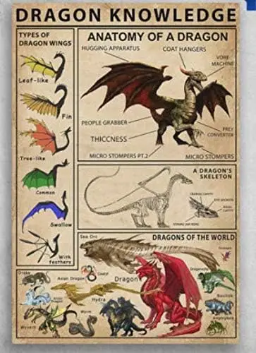 Dragon Knowledge Types of Dragon Wings Poster 16x12 Inch Home Kitchen Retro Bar Pub Office Wall Decor sign