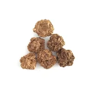 Wholesale Bulk Japanese Catnip Cat Toy Dried Fruits Organic Actinidia Polygama Matatabi Silvervine Fruit 2