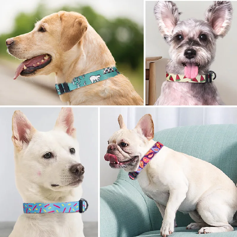 New pet collar chest and back leash wearable tracker for cats dogs birds pet supplies matching wearable