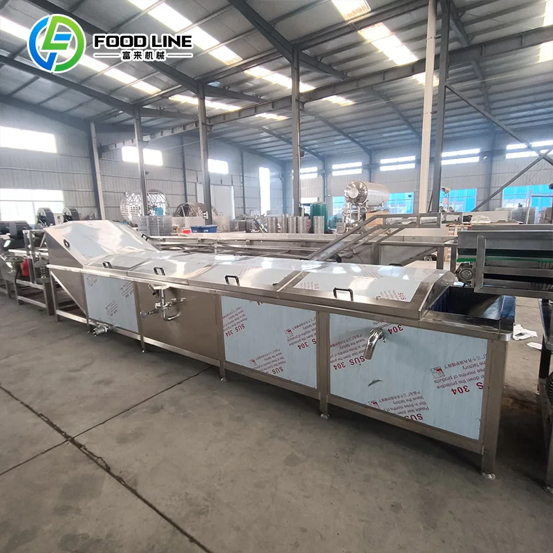 Full Automatic Frozen French Fries Production Line Flexible Tailor-Made Machinery Custom