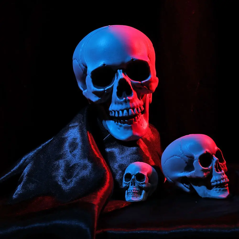 All Size Terrible Human Skeleton Skull Head Halloween Props 