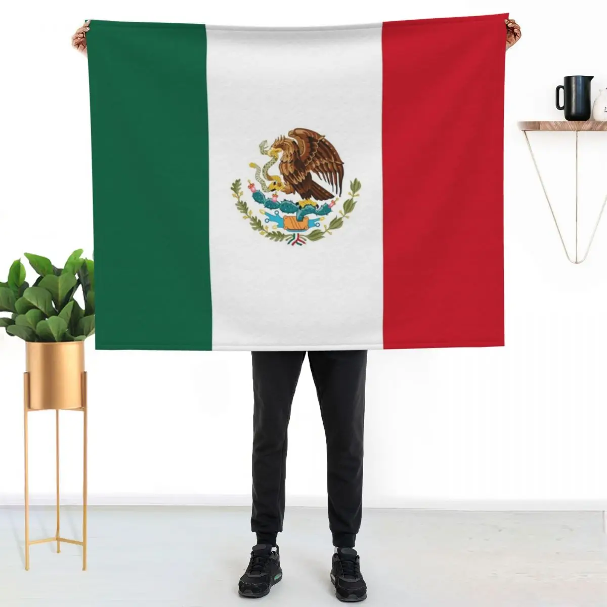 Flag of Mexico Throw Blanket Luxury St Bed covers Polar Furry Beautifuls Multi-Purpose Blankets