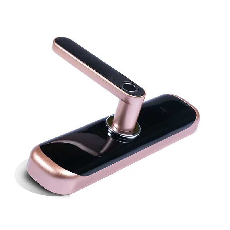 TTLock APP Remotely Biometric Fingerprint RFID Card Code Bluetooth Password Electronic Mechanical Key Smart Door Lock