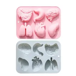 Human Organs Silicone Heart Chocolate Mold For Handmade Candy Plaster Handicrafts Soap Mould