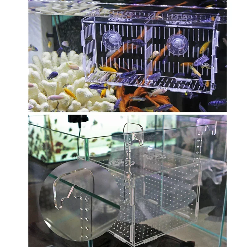 Ornamental Fish Breeding Isolation Box Fish Tank Aquarium Incubator Transparent Acrylic Single Grid Double Grid Accessories