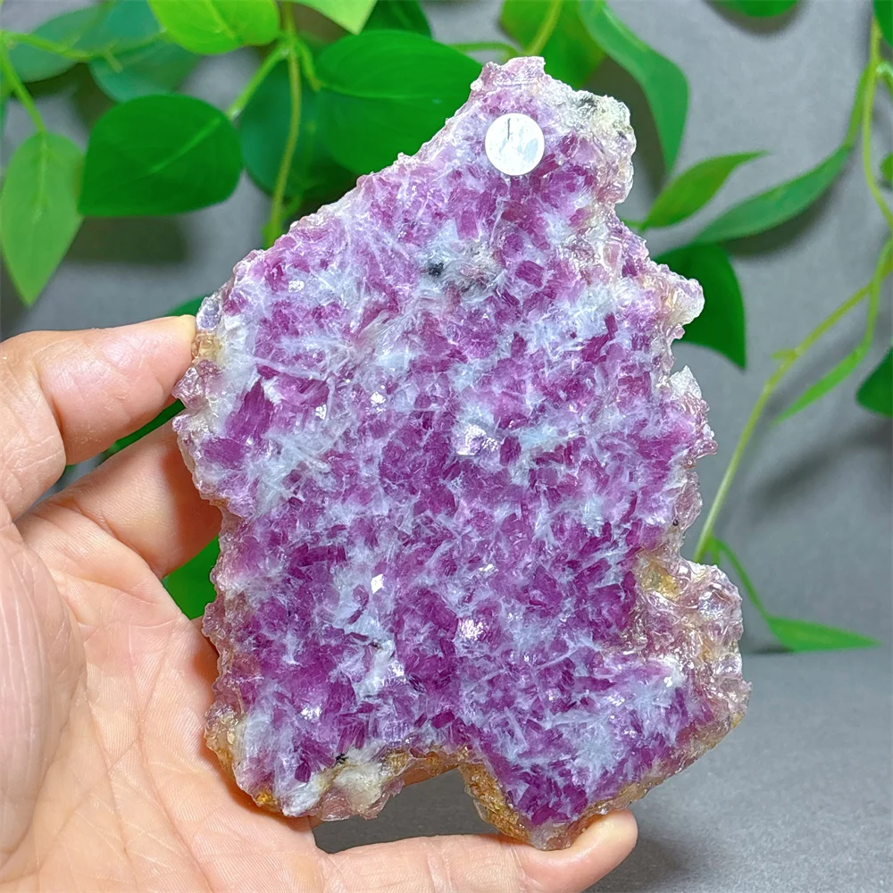 

Lpeidolite Плита Кристалл Натуральный Камень Кварц Камень Минералы Украшения Дома и Сада Ремесло Рейки Исцеление Энергии Удача Любовь + Подставка