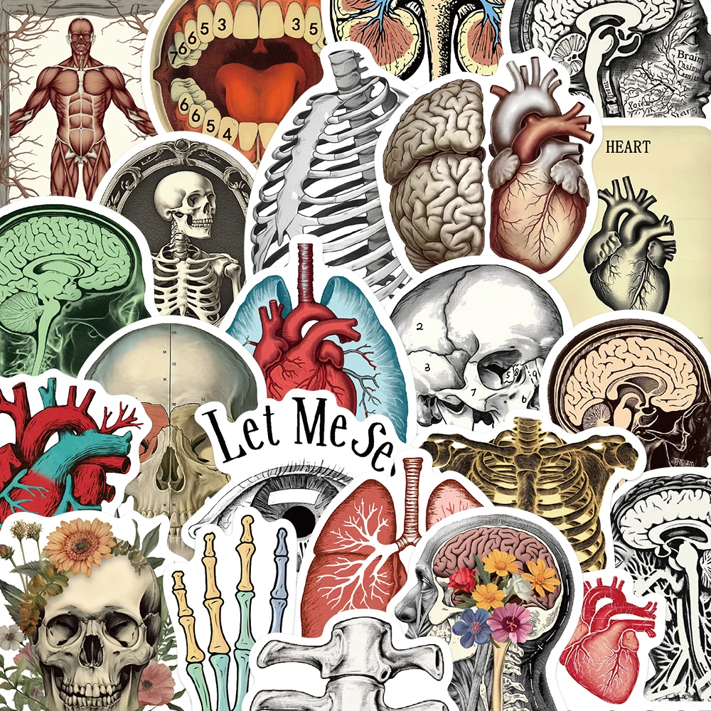 

50PCS Retro Scientific Anatomy Stickers Vintage Decorate Decals For Laptop Luggage Scrapbook Phone Case Stickers Creative Toys