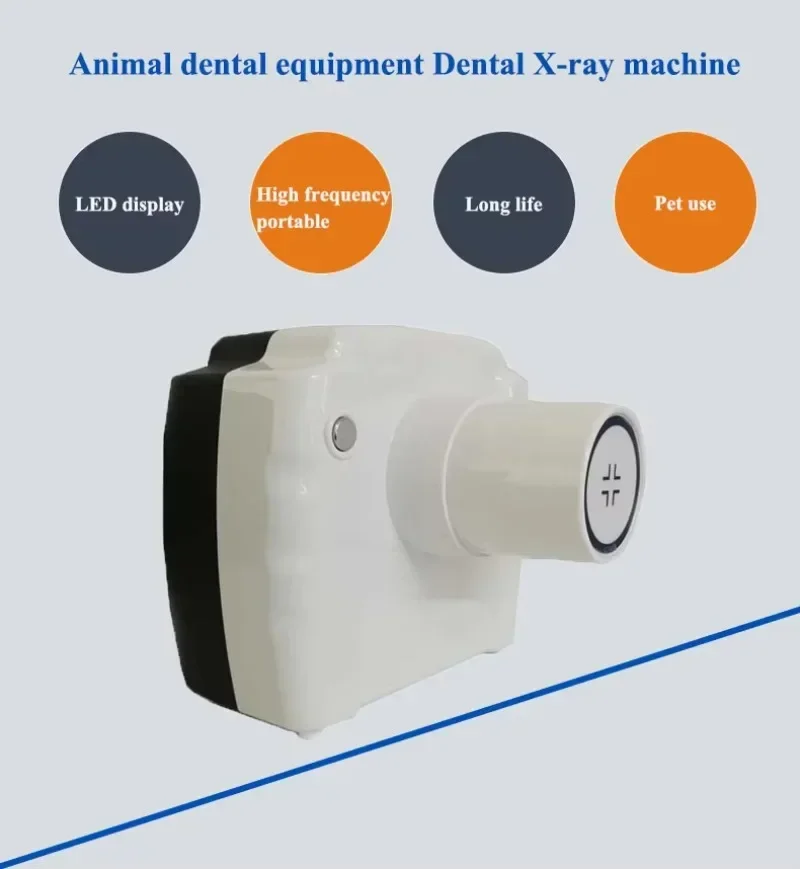 Iray den tal x ray rvg sensor dent al X-ray machine for human or vet use