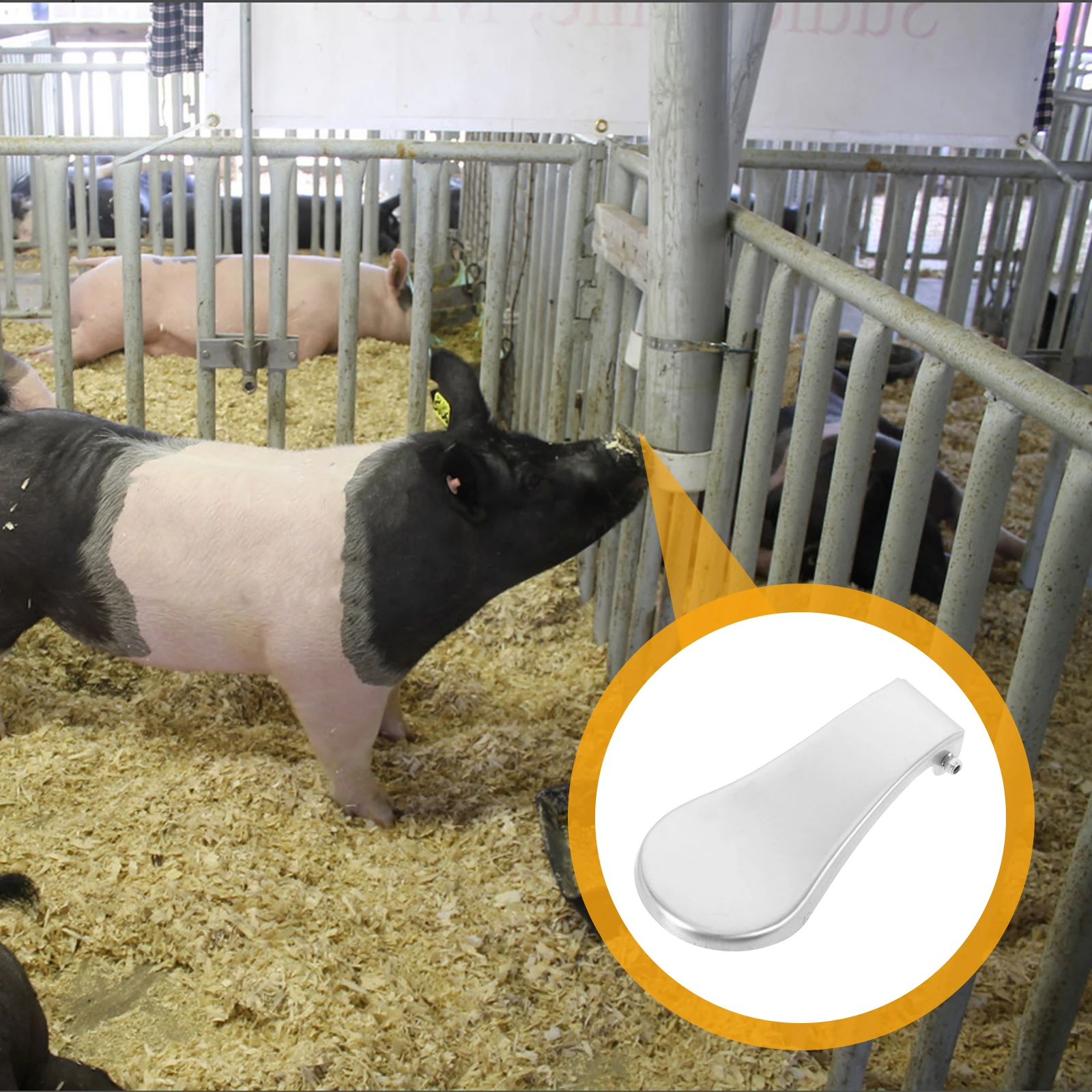 

Automatic Drinking Bowl Stainless Steel Livestock Water Pressing Tool Feeding Supplies Pig Farm Equipment Cattle Supplies Animal