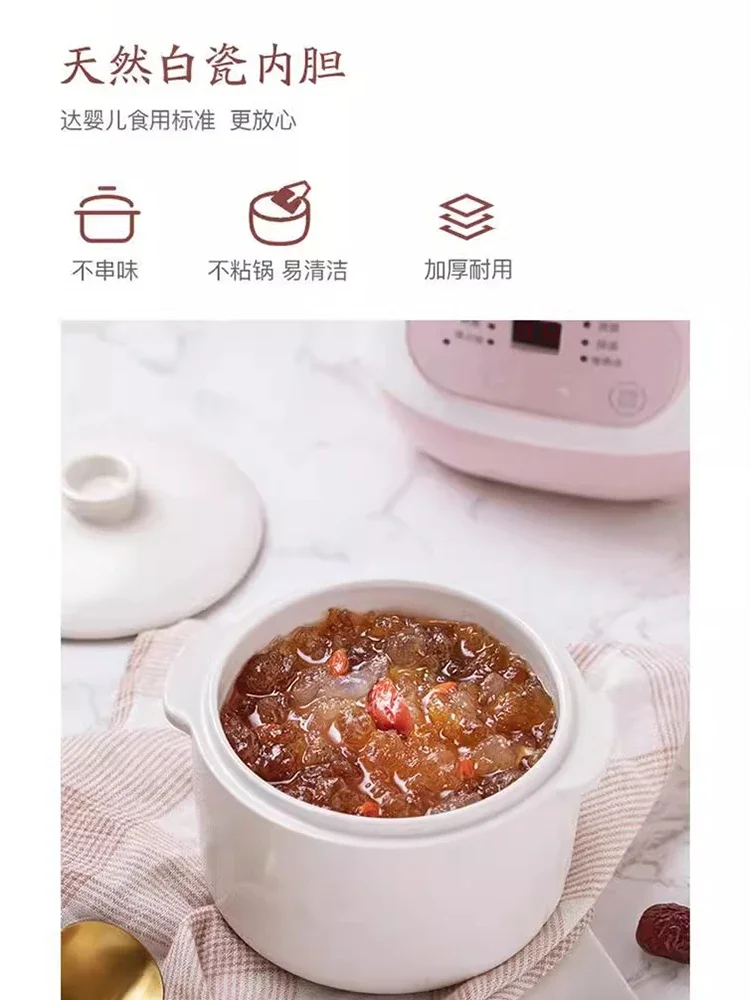 110V/220V Electric Steamer Ceramic Double Boiler for Home Use Multifunctional Slow Cooker USA Canada Japan