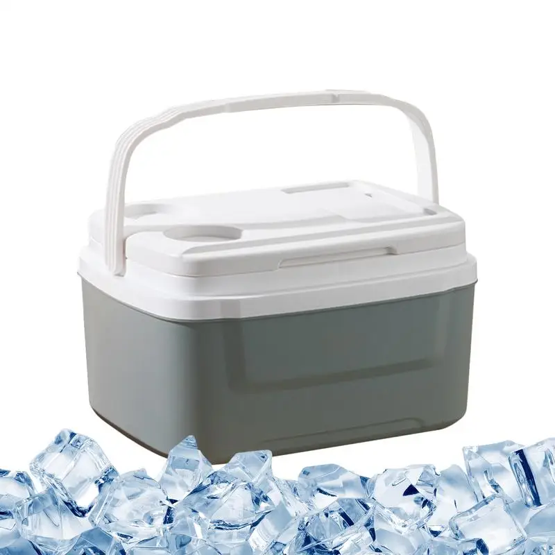 

Insulated Cooler 8L Camping Outdoor Insulated Ice Cooler Leakproof Portable Car Refrigerator With Handle Large Capacity Lunch