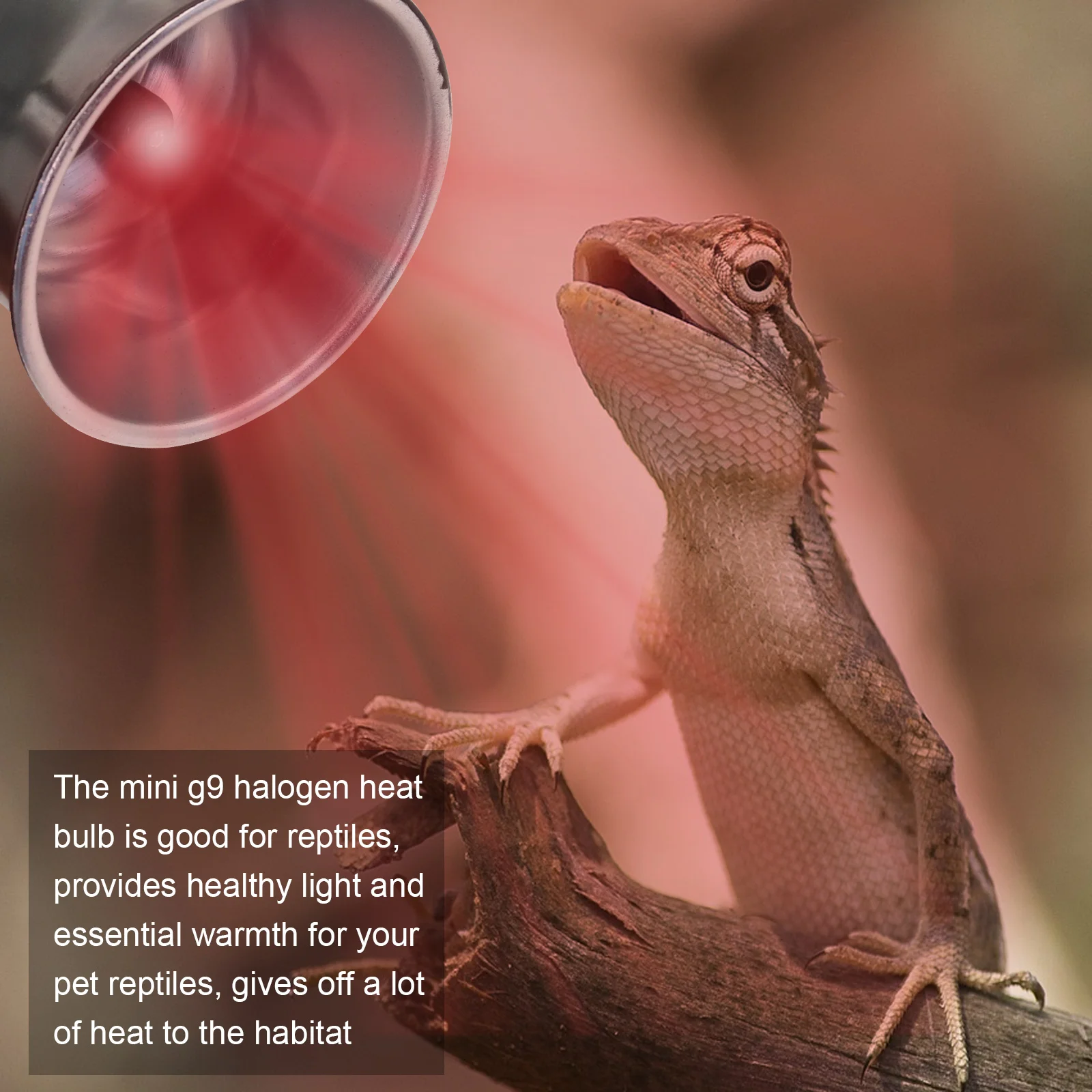 10 قطعة G9 الأشعة تحت الحمراء مصباح الحرارة لمبات للزواحف ، الضوء الأحمر UVA الزواحف مصباح الحرارة 2 دبوس قاعدة صغيرة الزواحف ضوء لمبة استبدال