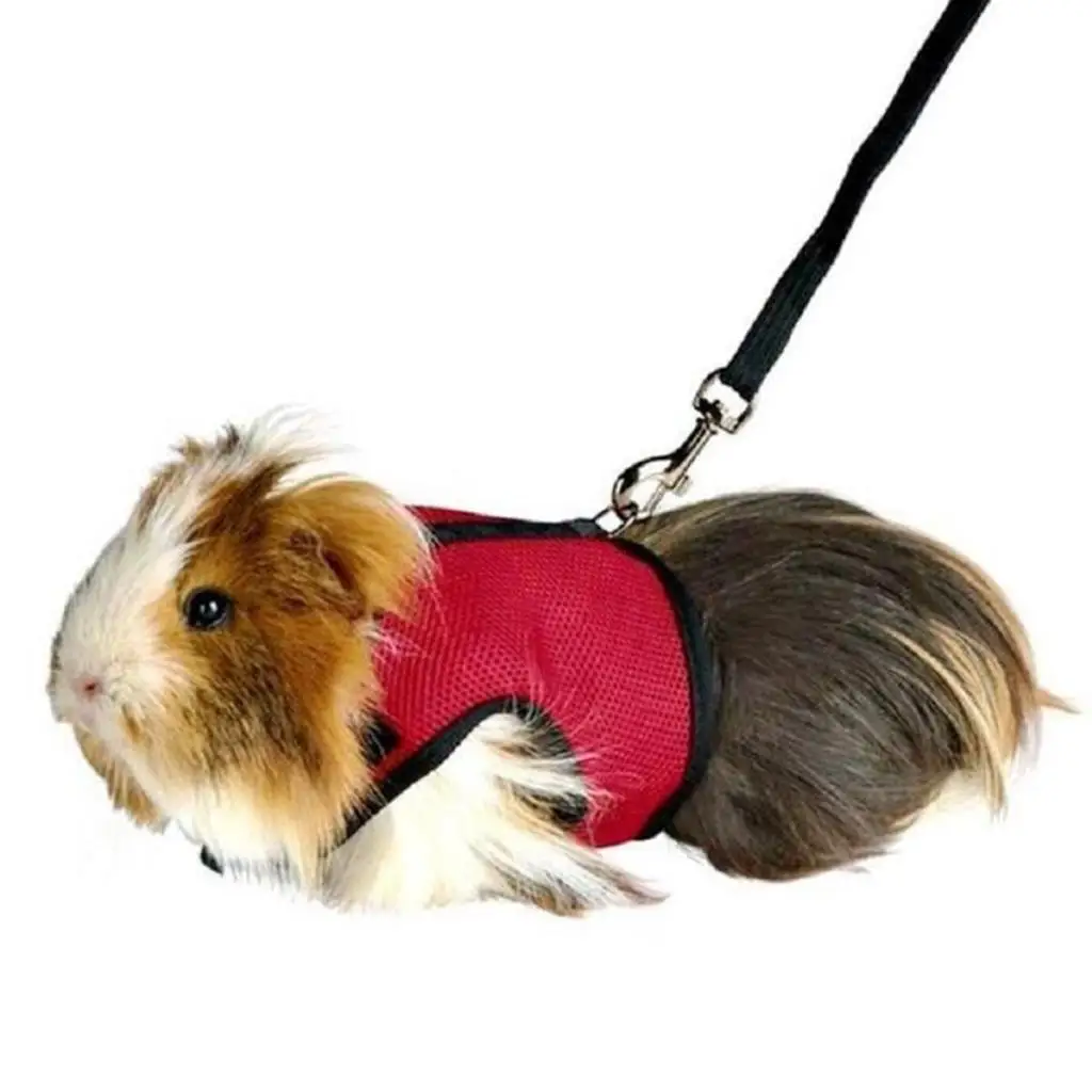 Breathable Mesh Control Harness Vest Walk Leash for Small Pet Hamster Rat