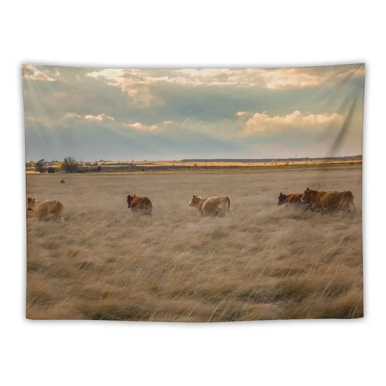 

Cows Among the Grass - Cattle Wade Through Tall Grass on Autumn Day in the Texas Panhandle Tapestry Korean Room Decor Tapestry