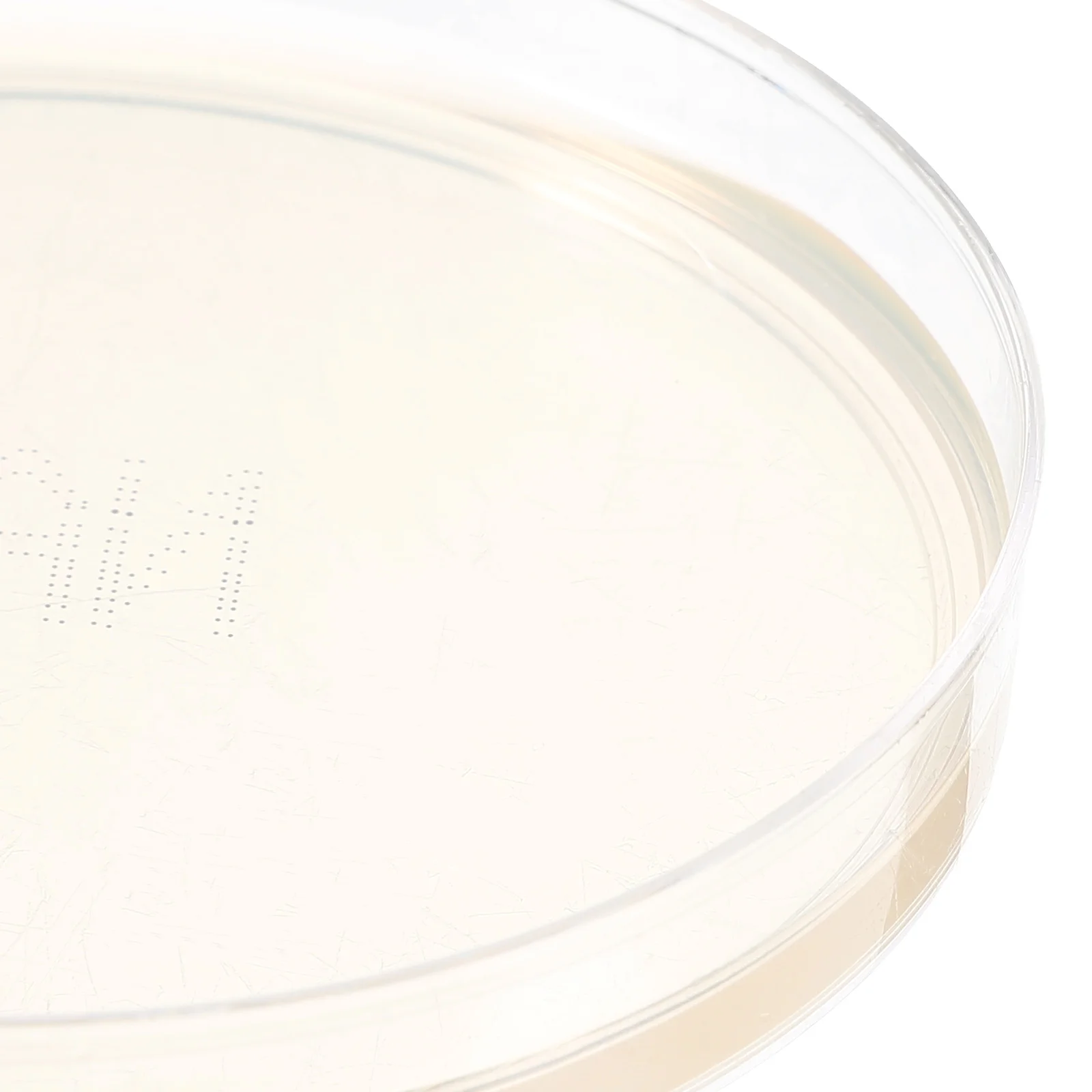 

10pcs Culture Medium Plates Petri Dishes 9cm Lab Agar Plate Experiment Supplies Portable Agar Plate Science Projects