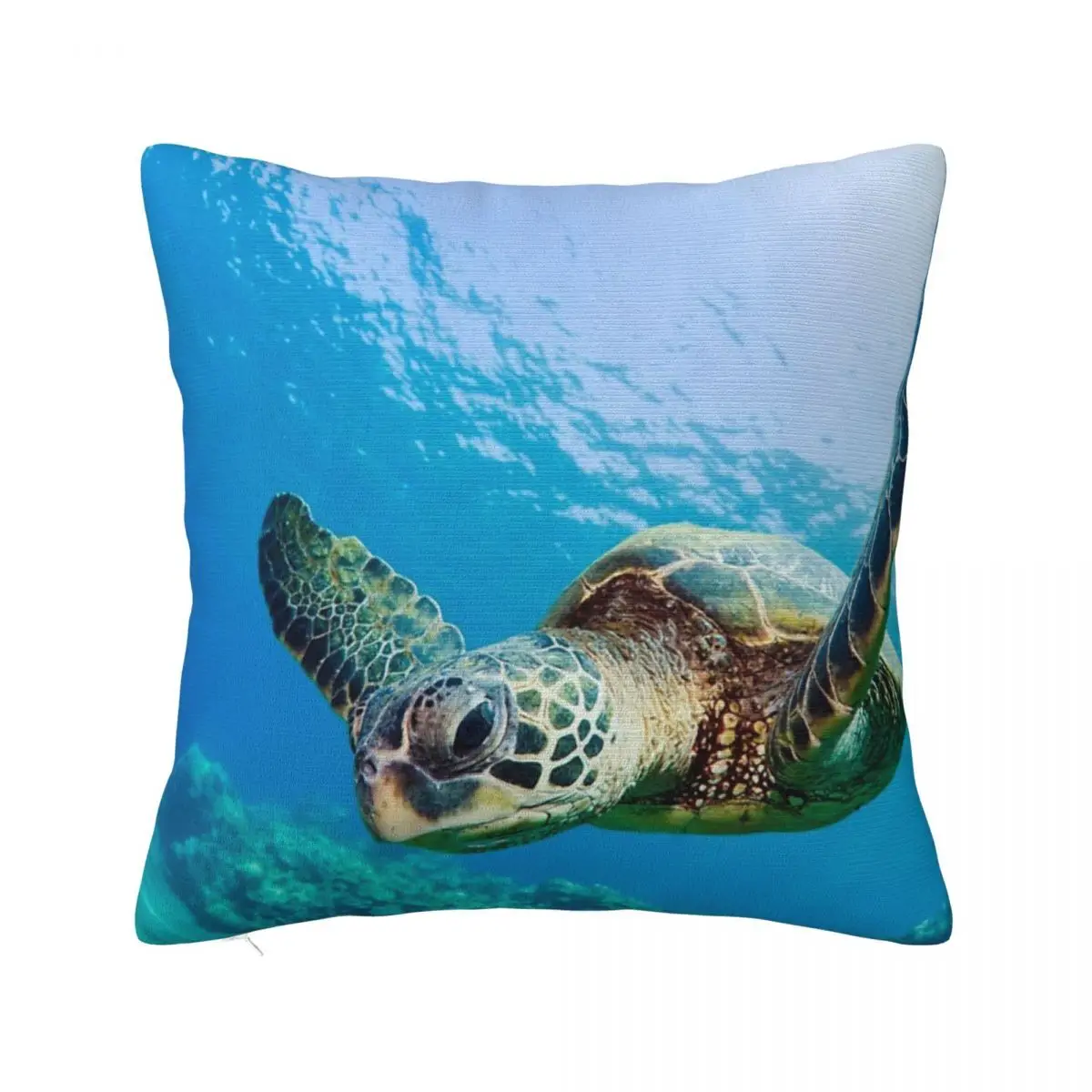 Green Sea Turtle Over Reef Cushions Decorative Pillows Decorative Cushions Pillow Case Pillow Cover