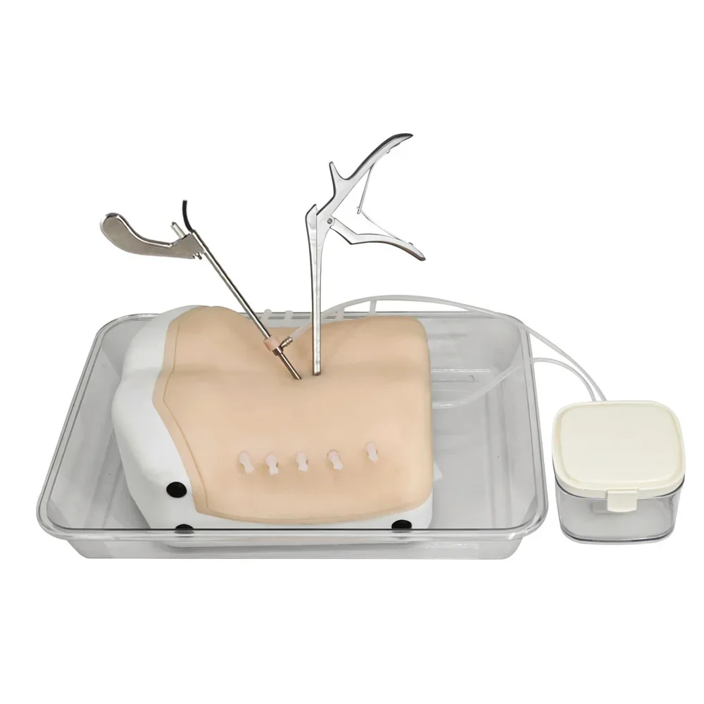 Intervertebral Foramen المنظار التدريب UBE الجراحي محاكي التشغيل تحت الماء المنظار عالي الدقة ثنائي الغرض