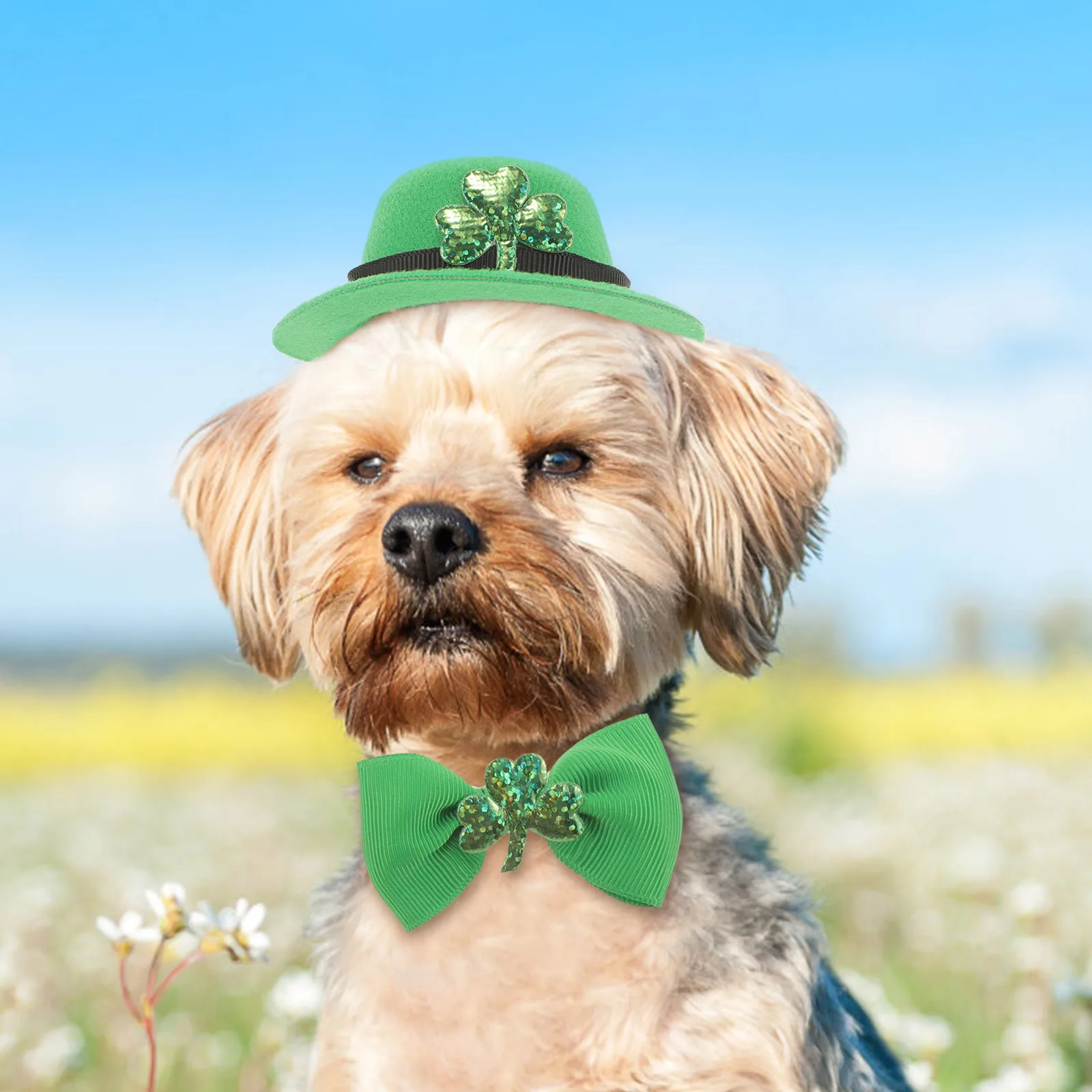 

1 set Pet Dog Top Hat Set Small Headwear for Dog Patrick's Day Costume Irish Party Top Hat Bow Collar Accessories