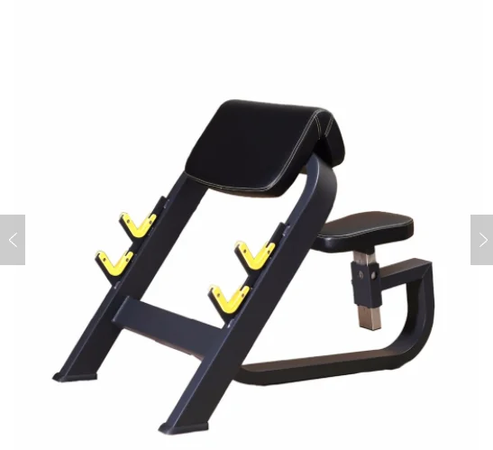 

Commercial Gym Equipment Seated Roman Chair Preacher Curl Bench Fitness Equipmentpromote sales