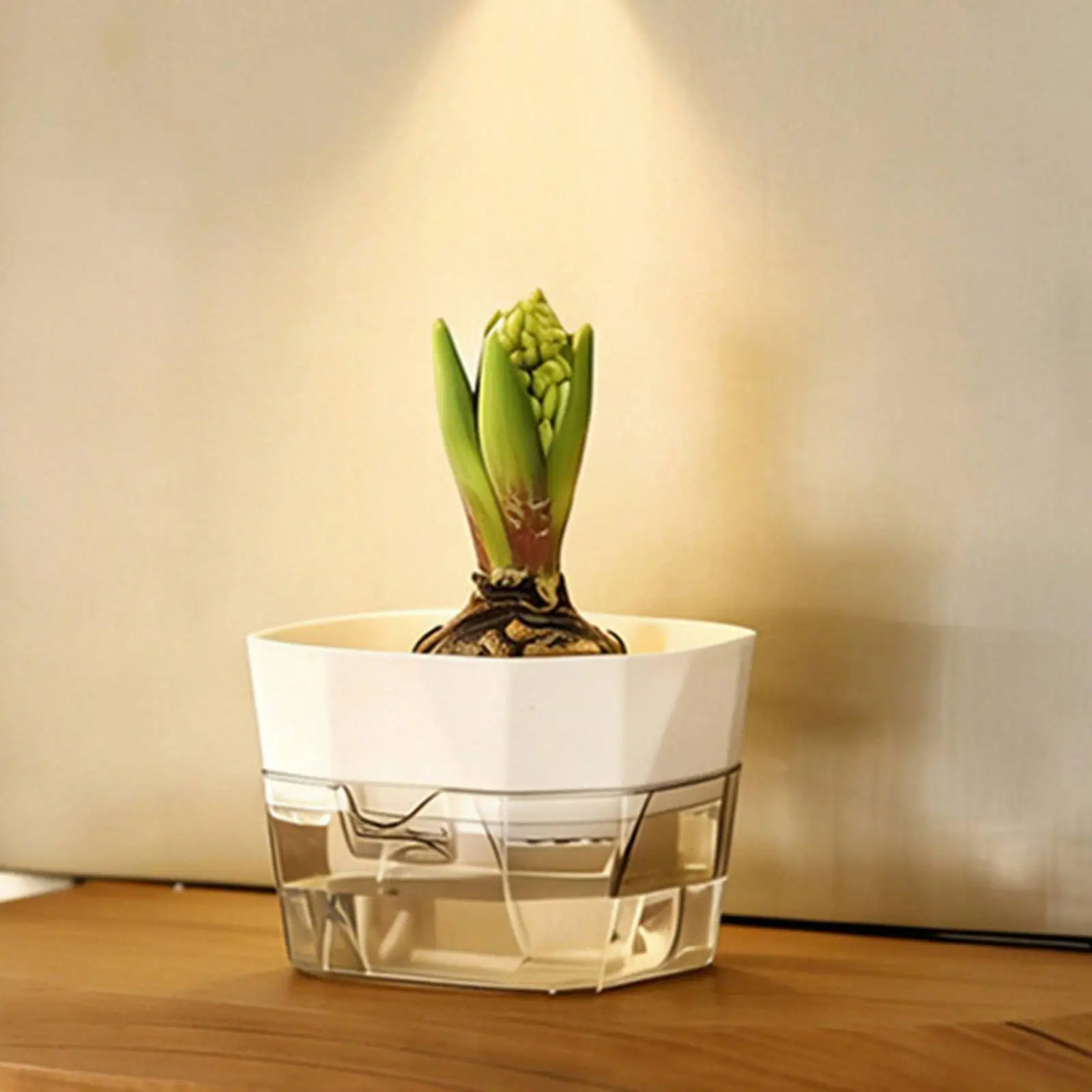 Hydroponic Vase Two Layer Self Watering Planter Clear PET Plant Pot Indoor Garden Supply for Decorative Use
