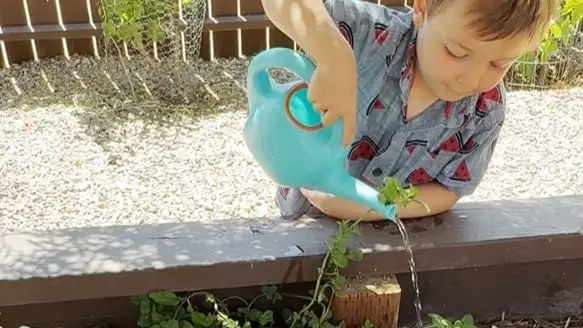 Eco-Friendly Watering Can with Long Spout for Easy Plant Care 3