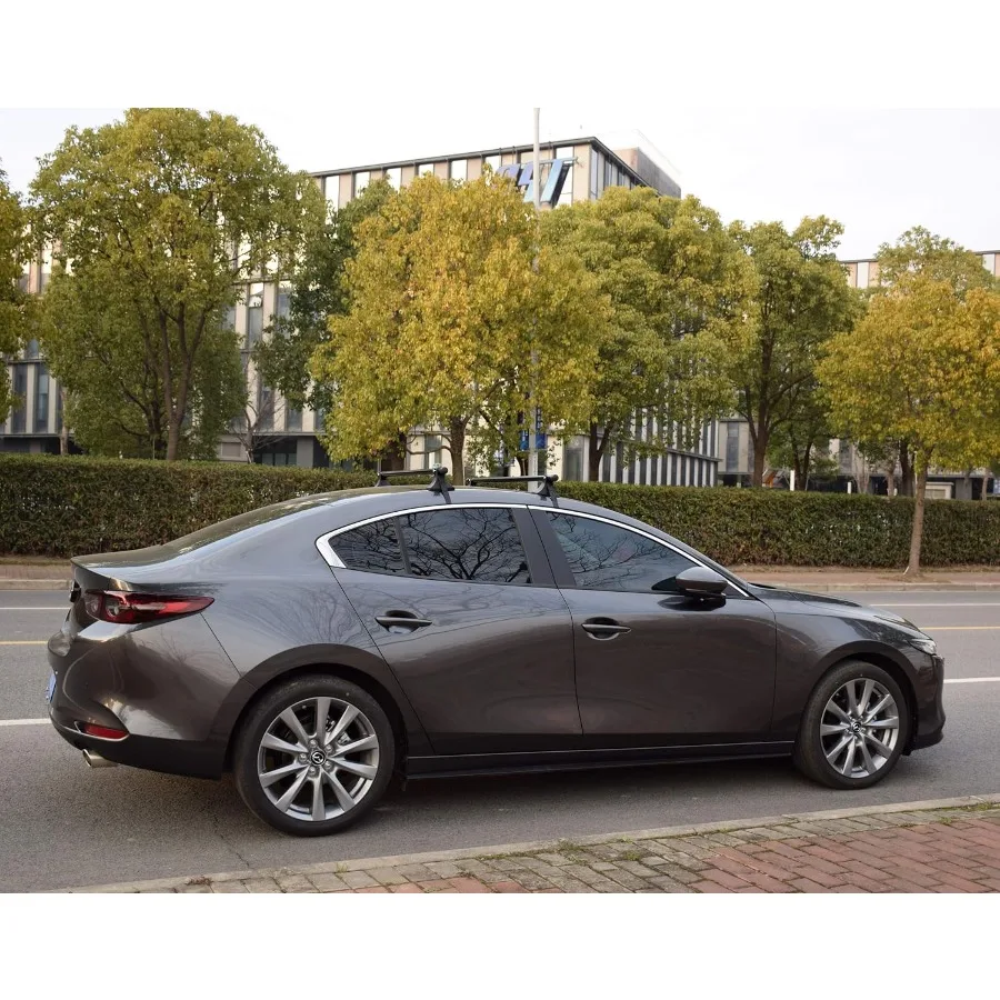 قضبان متقاطعة لرف السقف العالمي 2 قطعة