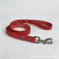red leash
