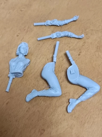Buyer photo of this resin kit