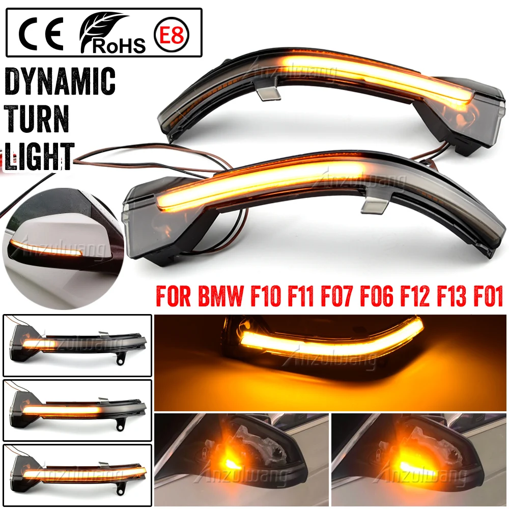 Dynamic Blinker Turn Signal Light Side Mirror Indicator LED Flashing Light for BMW 5 6 7 Series F10 F11 F07 F06 F12 F13 F01