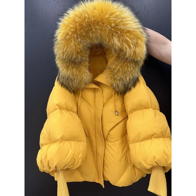 Women's Winter Down Jacket White Duck Feather Collar Short Thickened Retro Simple Comfortable Leisure Fashion Niche Niche Skinny