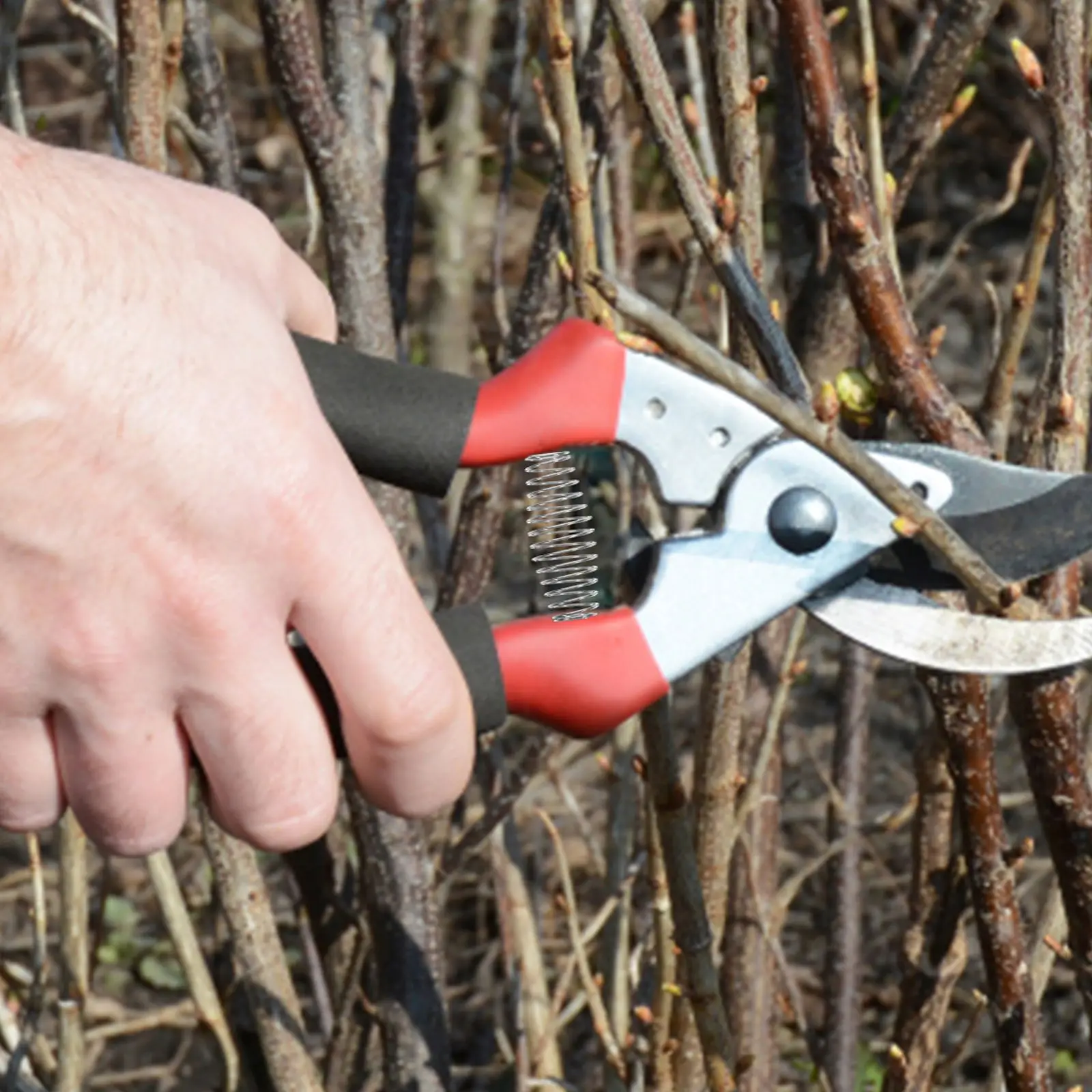 12 Pcs Pruners Shear Spring Stainless Steel Garden Clippers Springs Trimming Tool Parts Hand Pruner Replacement Lightweight Easy