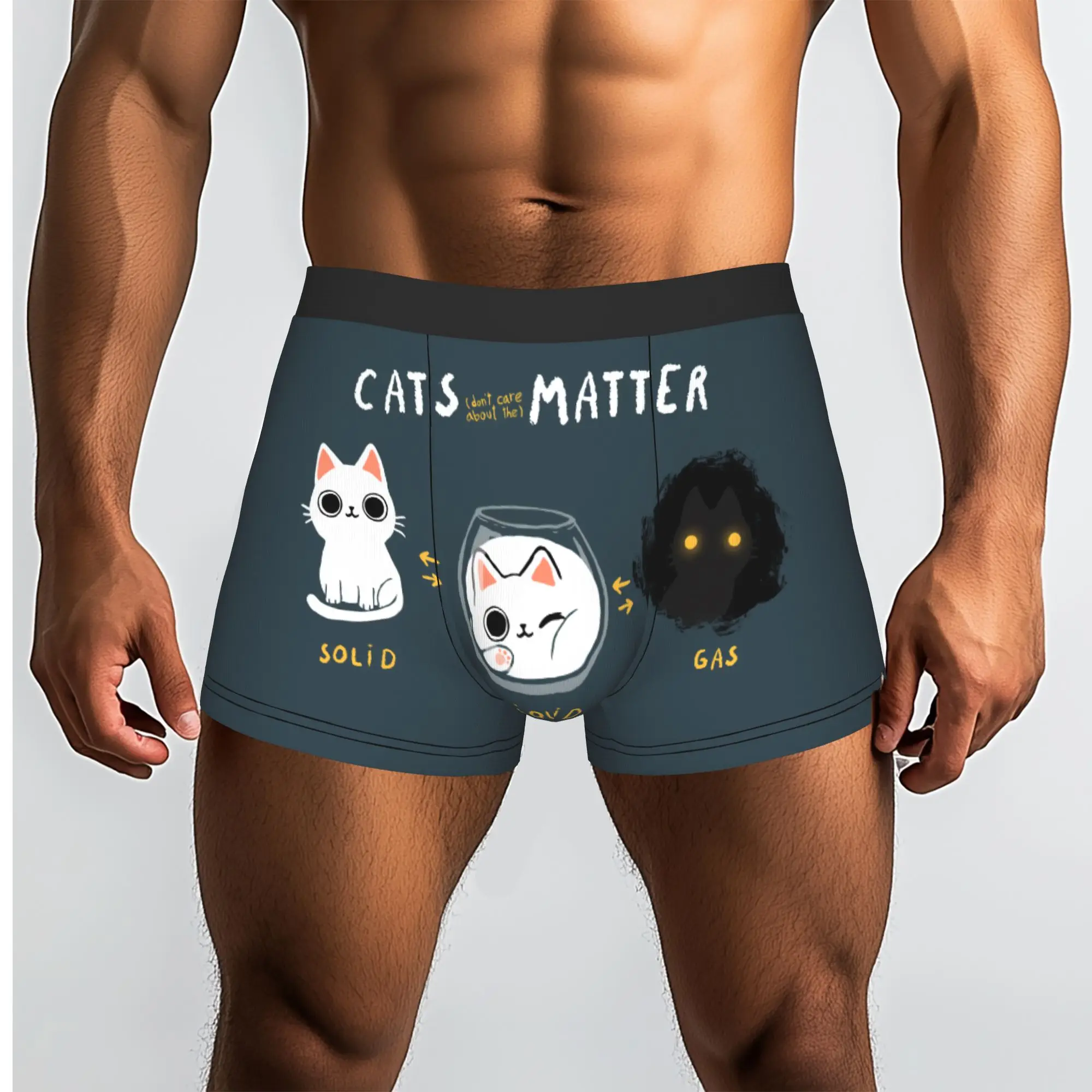 Customized Cats Matter Funny Science Kitty Physics Cat Underwear Male Printed  Boxer Shorts Panties Briefs Breathable Underpants