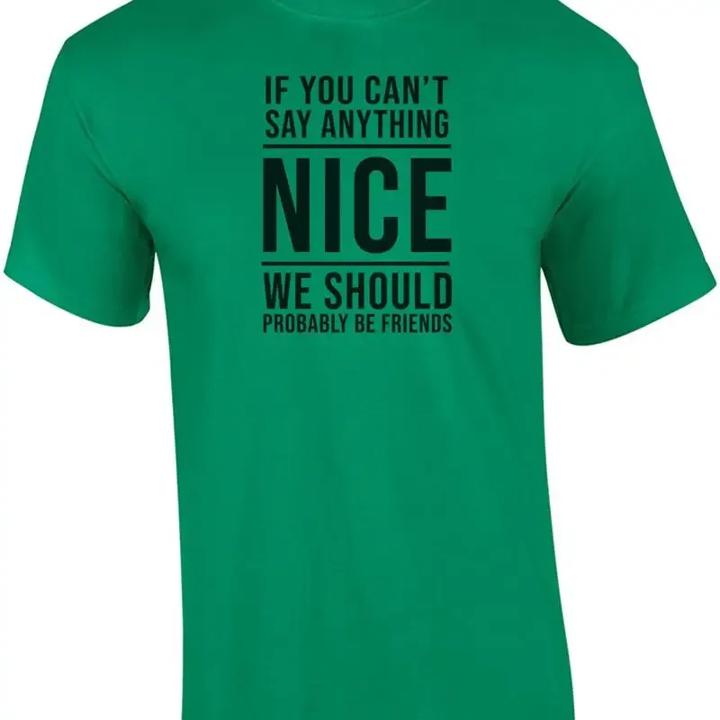 If you can't say anything nice - We should probably be friends - sarcastic t-... T shirt
